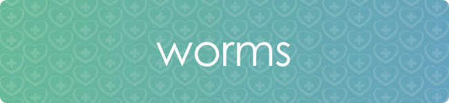 image Worms